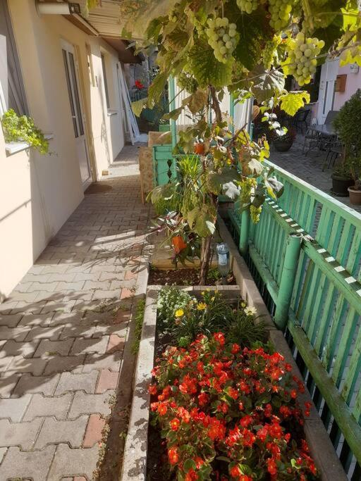 Apartment Emese Vintage Targu Mures