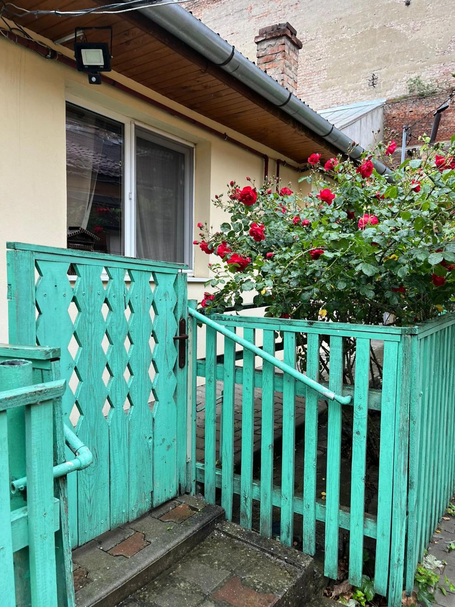 Emese Vintage Apartment Targu Mures